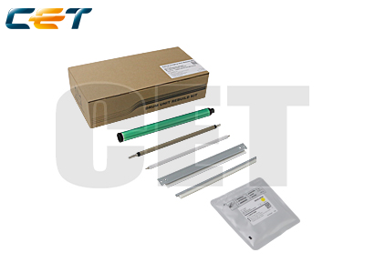 Toner compatível Ricoh E501066 amarelo, 36.000 páginas